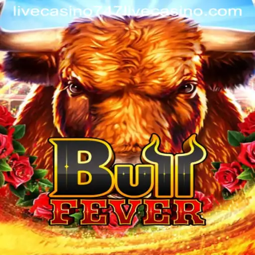Discovering BullFever: A Thrilling Experience at 747 Live Casino