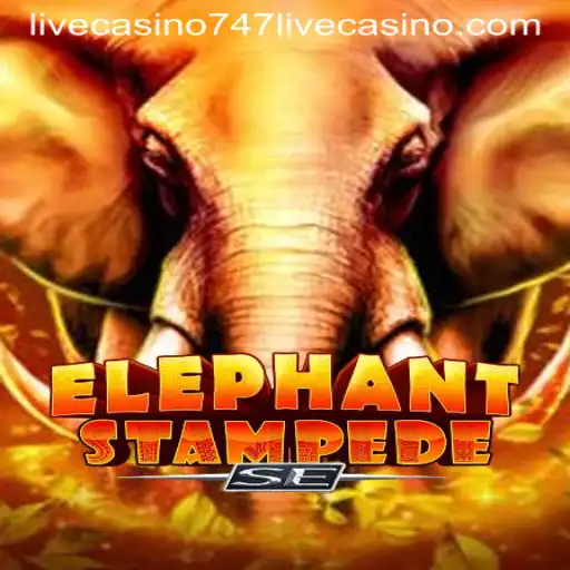 Discovering the Thrills of ElephantStampedeSE at 747 Live Casino